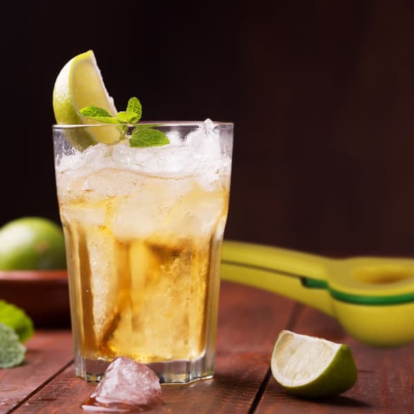 Citruspress 2 delar