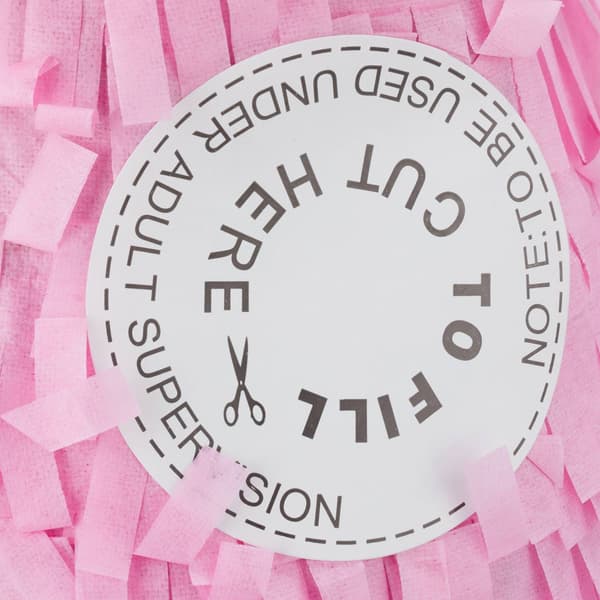 Pinata prosecco flaske