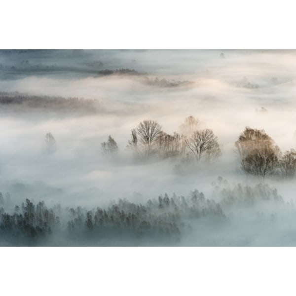 Winter Fog - 21x30 cm