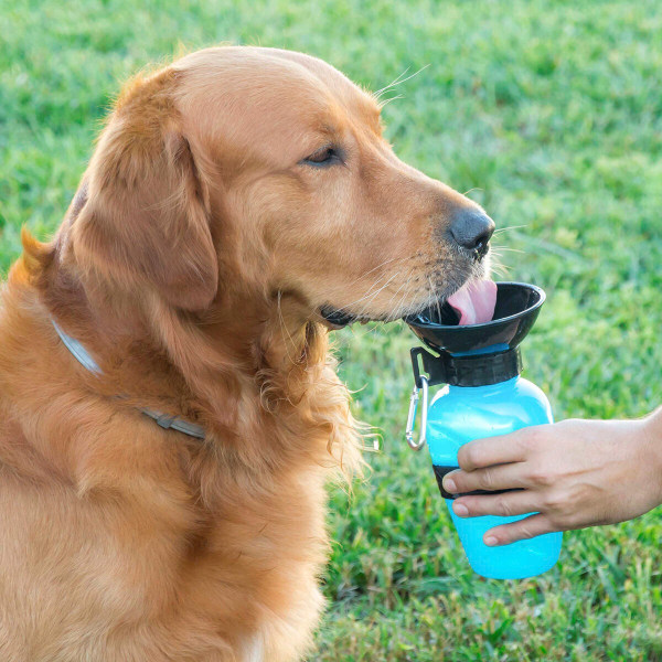 Vattenflaska med drickskål för hundar InnovaGoods