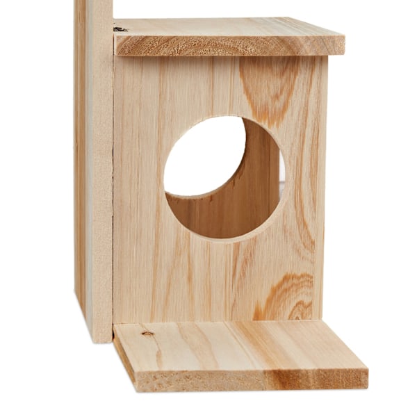 Hus för utfodring av ekorrar