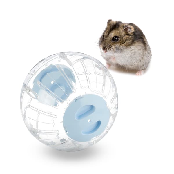 Hamsteripallo vaaleansinisellä kannella