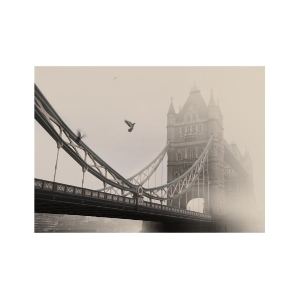 Tower Bridge - 50x70 cm