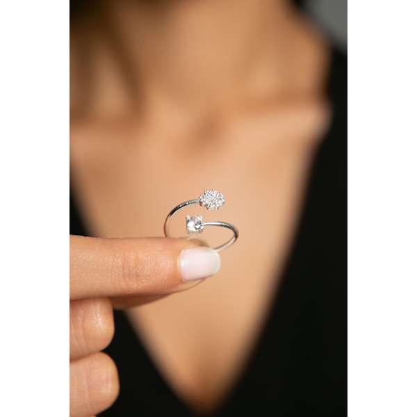 Silverring FA182547