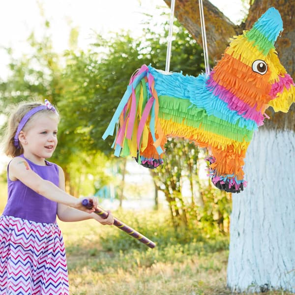 Pinata värikäs aasi