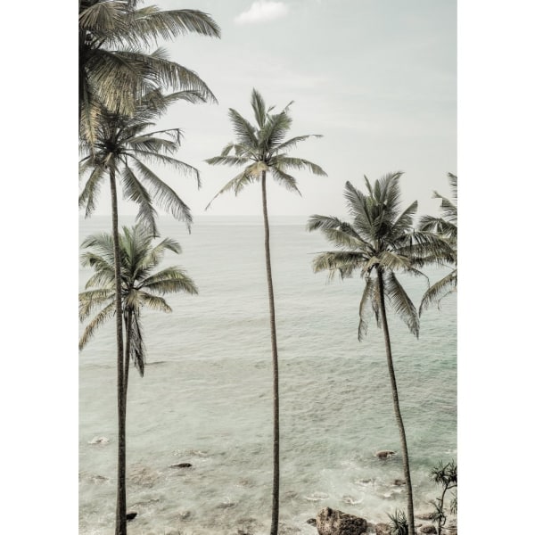 Tropical Dreams - 21x30 cm
