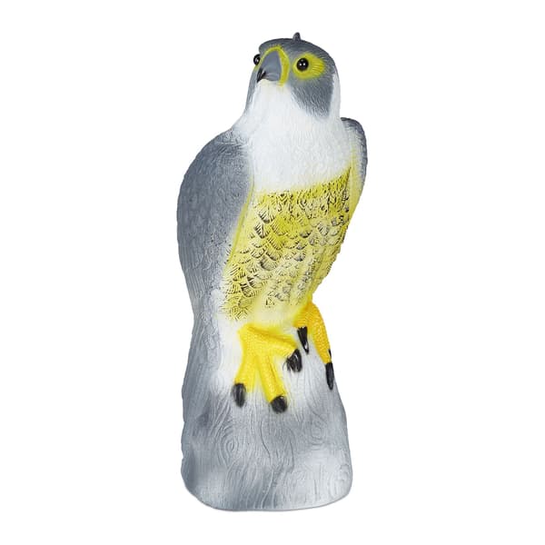 Fågel skrämmer Hawk sitter