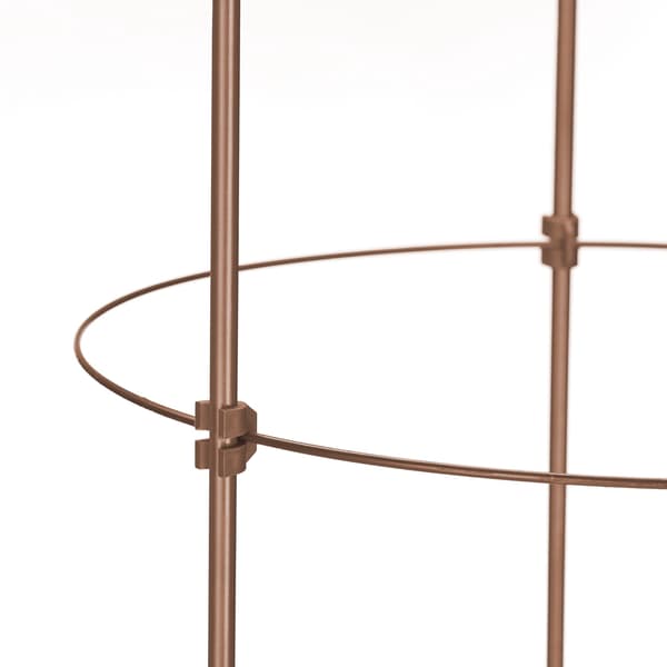 Stöd för klätterväxter, 150 cm, set om 2, brun