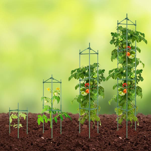 Tomatburar, 4-pack, 63-tums stapelbara växtstöd