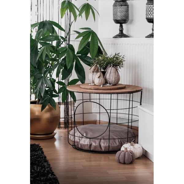 Soffbord Katt