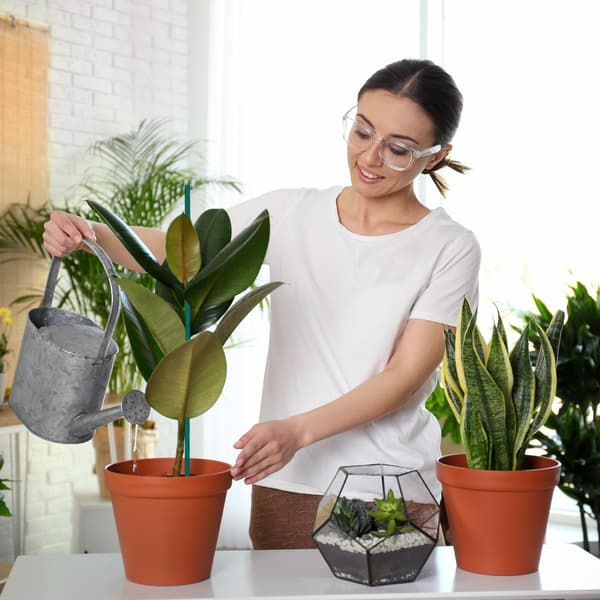 Blomsterpinde 60 cm i sæt af 50 stk