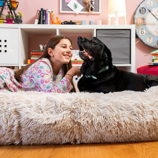 Hundsäng för människor | Human Dog Bed XXL InnovaGoods Beige