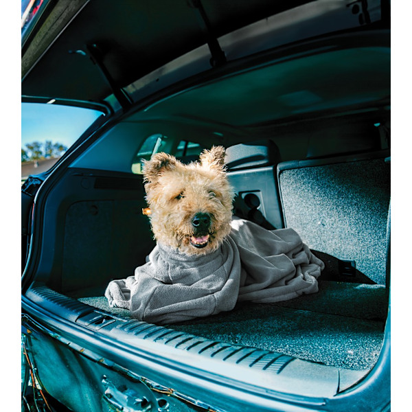Royal Dry Doggybag XS