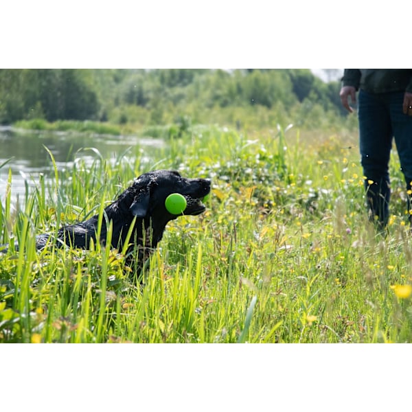 Dog Comets Meteor Heittokeppi vaaleanpunainen L