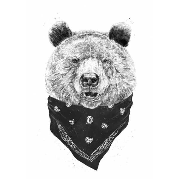 Wild Bear - 21x30 cm