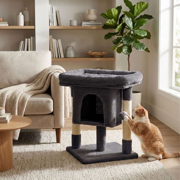 Kradsetræ med hule og platform, mørkegrå, 60 cm højt