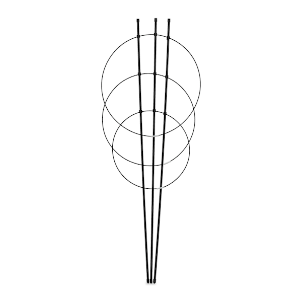 Plantestøtte 76 cm sort, sæt med 2 stk