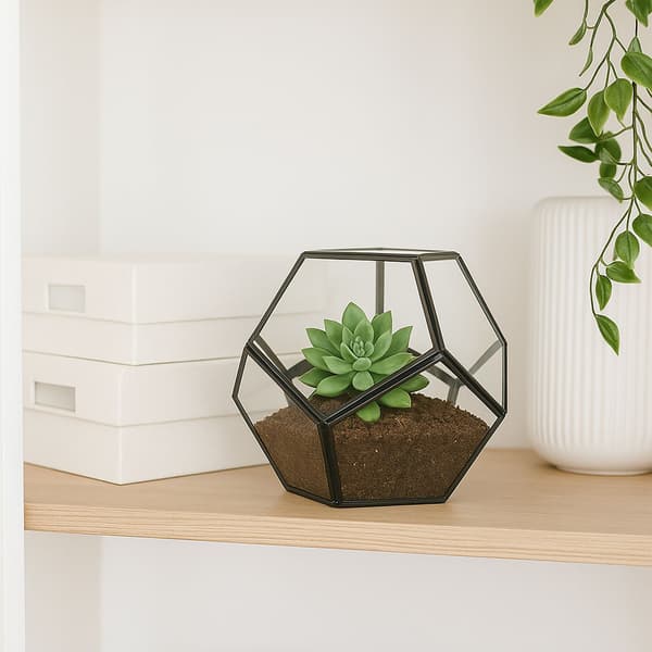 Geometrisk glasterrarium – åbent design til stueplanter