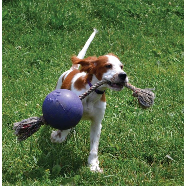 Jolly Ball Romp-n-Roll 10 cm Blå