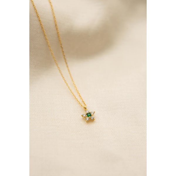Silverhalsband PP4019