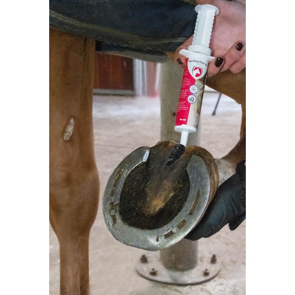 Fremragende Horse Hoof Zink Paste 60 ml