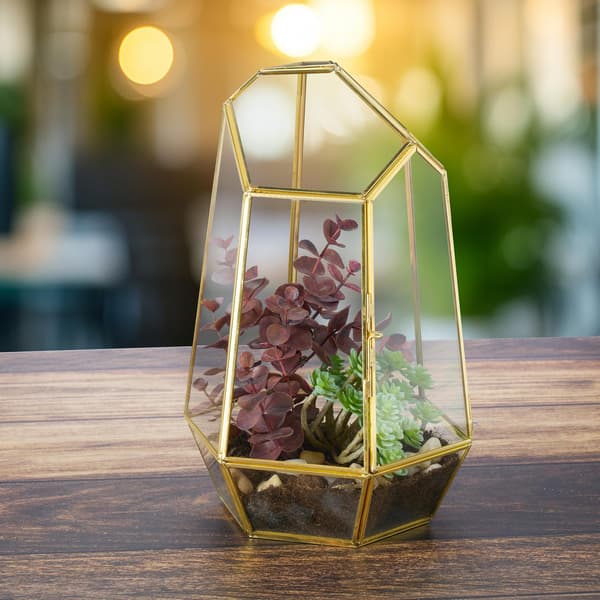 Geometriskt glasterrarium för suckulenter och luftväxter