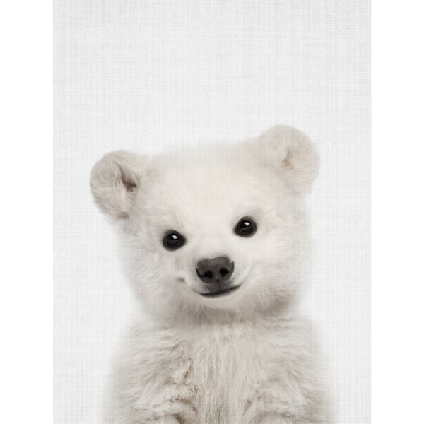 Peekaboo Baby Polar Bear - 70x100 cm