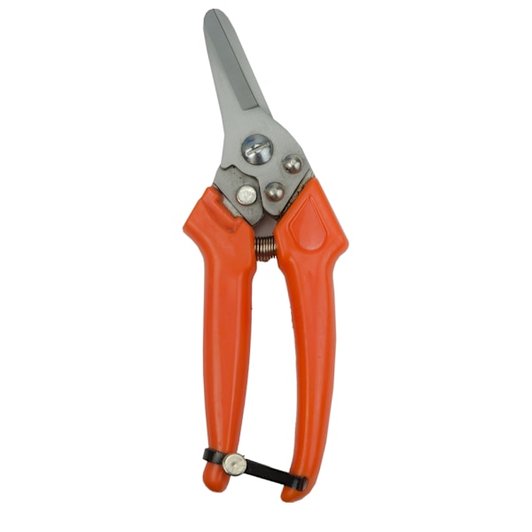Claw Clipper Sheep Hollanti