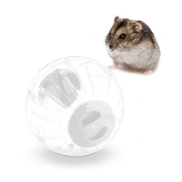 Hamsteripallo valkoisella kannella