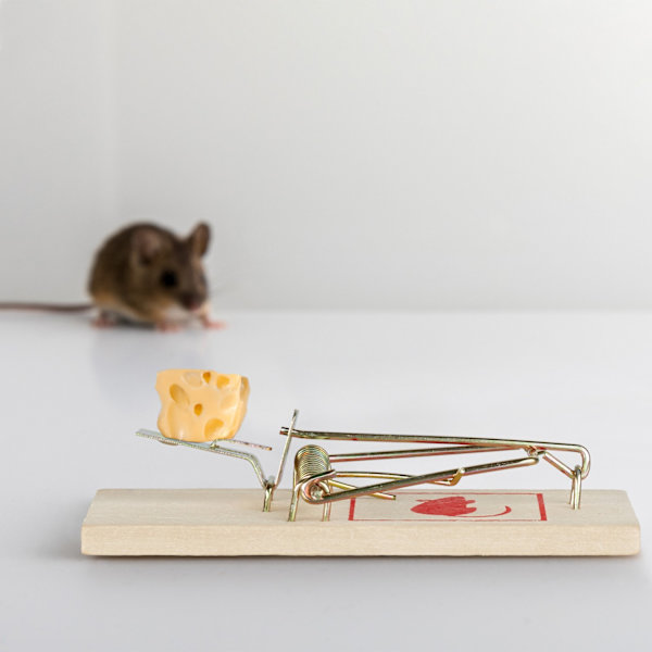 Mousetrap Trä Uppsättning om 40