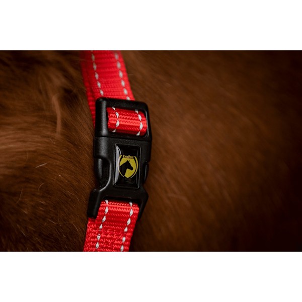 Erinomainen Horse Essential Halter XS Mini Foal Red