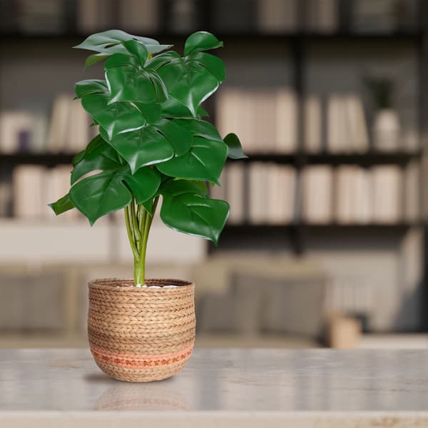Monstera konstgjorda växtset om 2