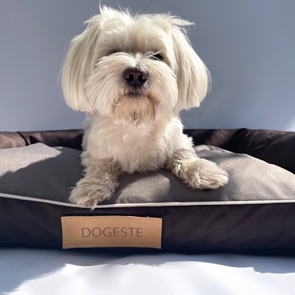 Hundeseng brun XL med personalisering
