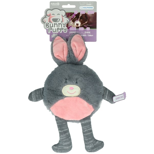 Bunny valp platt kanin
