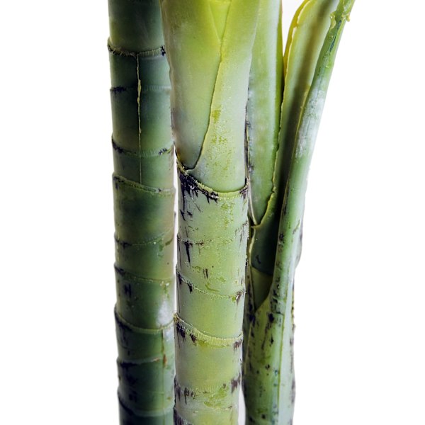 Konstgjord Palm Stor Konstgjord Växt 150 Cm Med Kruka, 19 Palmblad, Plast, Dekoration För Inomhus Och Utomhusbruk