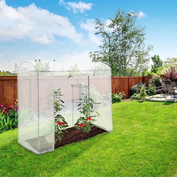 Tomatdrivhus XL med rundt tag