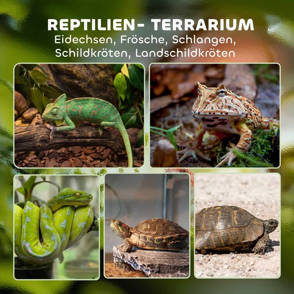Glasterrarium til krybdyr 48L, ventilation foran, 50x30x35 cm
