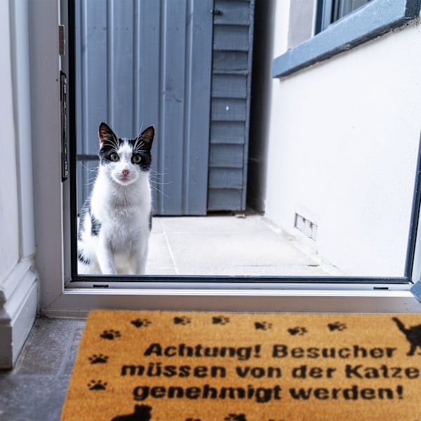 Dørmåtte Kokos Kat