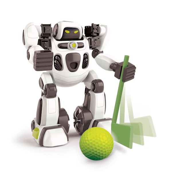 Clem. Padle The Ai Robot