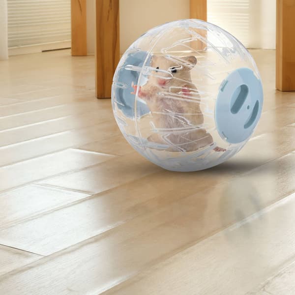 Hamsteripallo vaaleansinisellä kannella