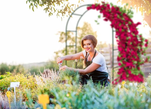 Metallpergola med trädgårdsbåge, mörkgrön, 240 cm