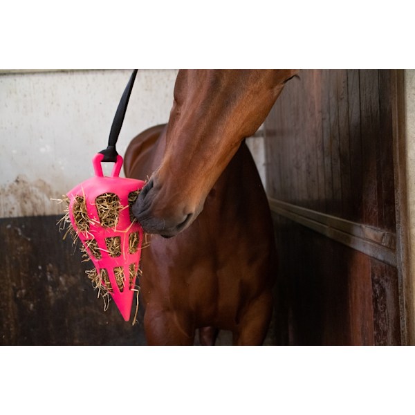 Hay Slowfeeder fun and flex 22 cm Grön morot