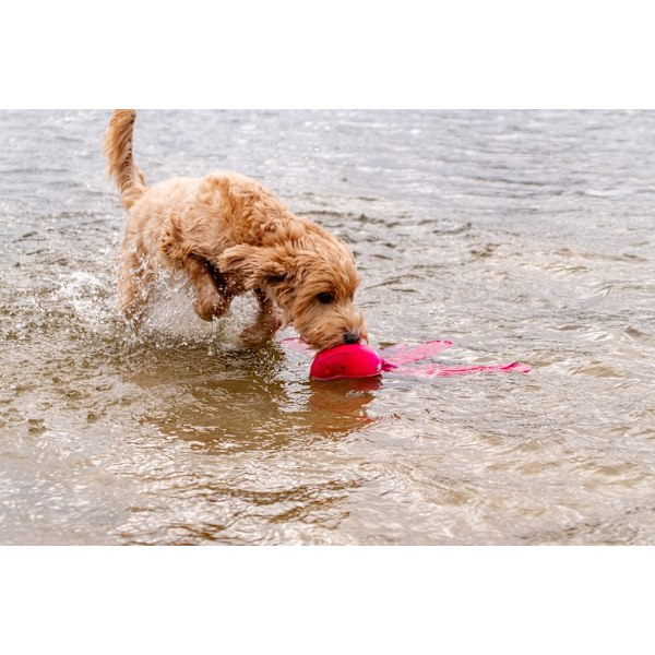 Dog Comets Alien Octo Pink M