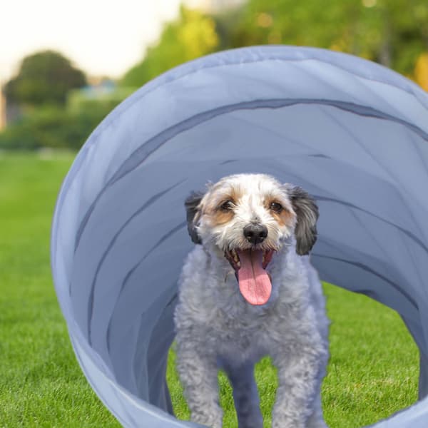 Hundtunnel agility 2m