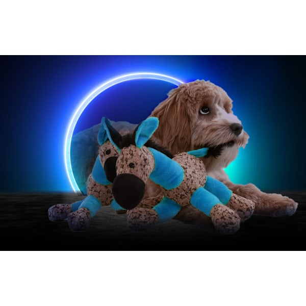 Retrodog Donkey Blue M