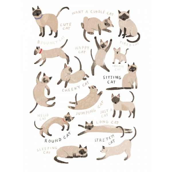 Siamese Cat Print - 21x30 cm