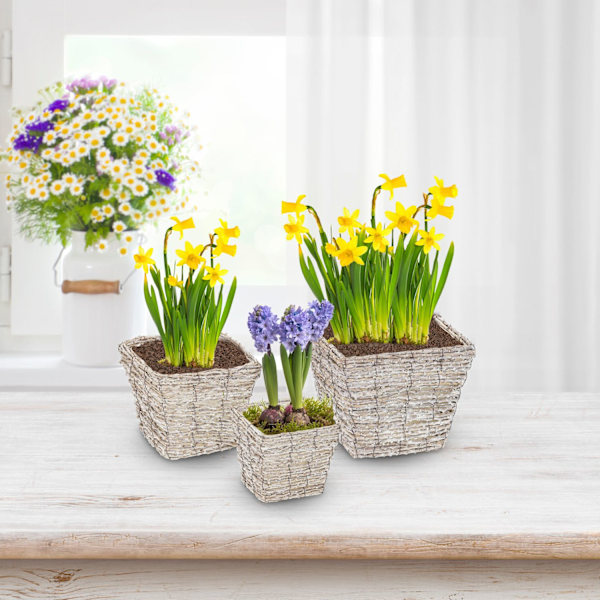 Fyrkantig blomkruka - uppsättning om 3