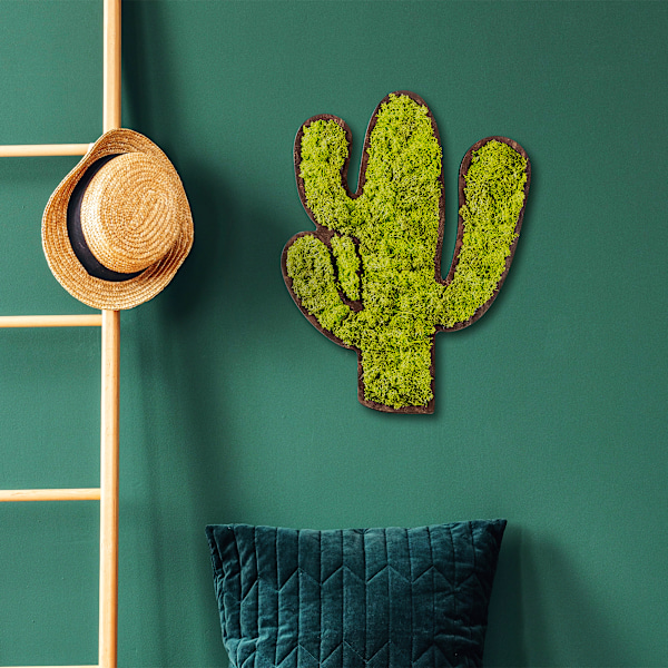 Dekorativt väggtillbehör Cactus