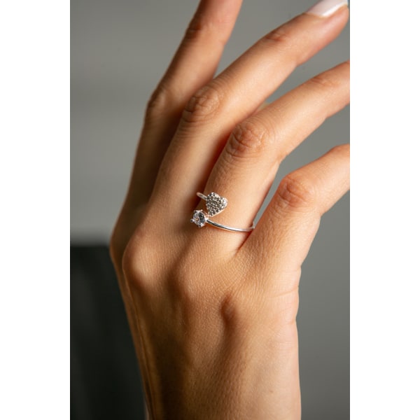 Silverring FA182542