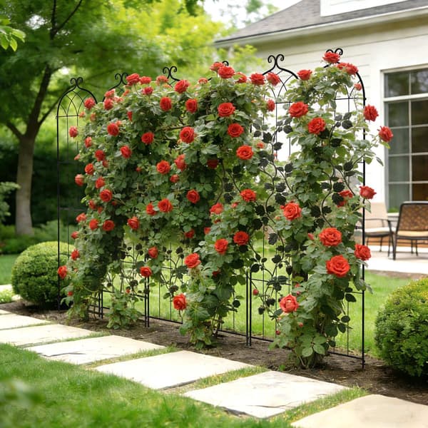 Rose Trellis 4-pack, 220 x 52,5 cm pulverlackerat stål